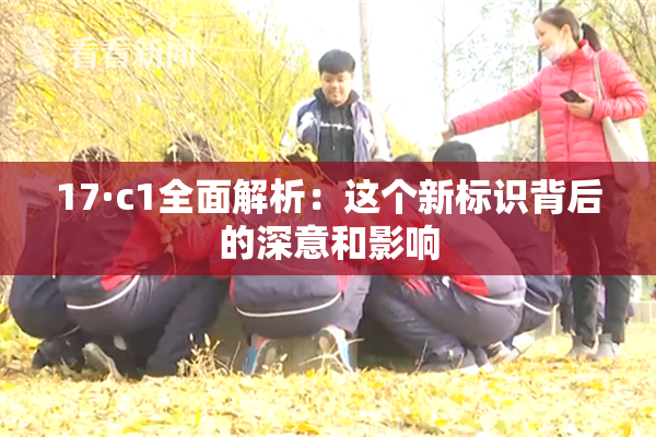17·c1全面解析：这个新标识背后的深意和影响