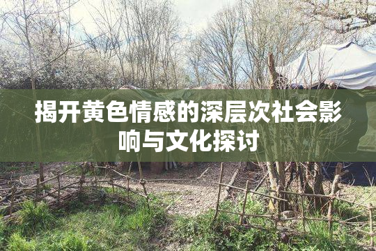 揭开黄色情感的深层次社会影响与文化探讨