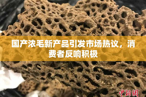国产浓毛新产品引发市场热议，消费者反响积极