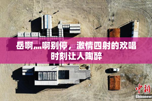 岳啊灬啊别停，激情四射的欢唱时刻让人陶醉