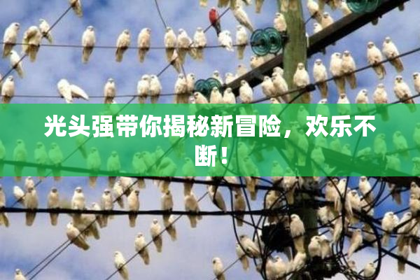 光头强带你揭秘新冒险，欢乐不断！
