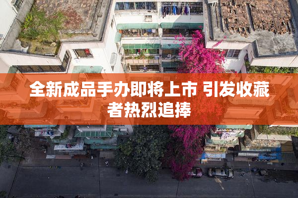全新成品手办即将上市 引发收藏者热烈追捧
