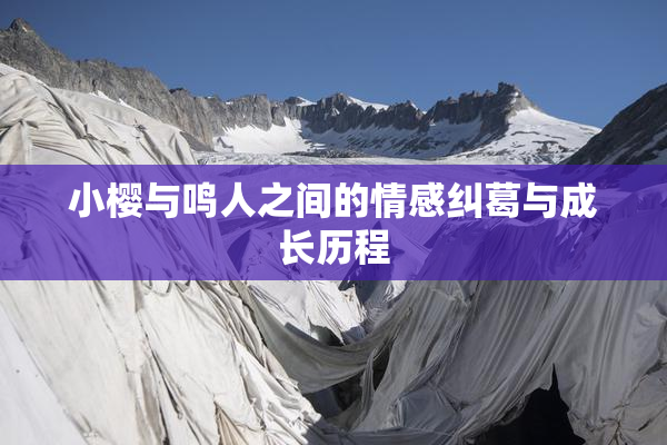 小樱与鸣人之间的情感纠葛与成长历程