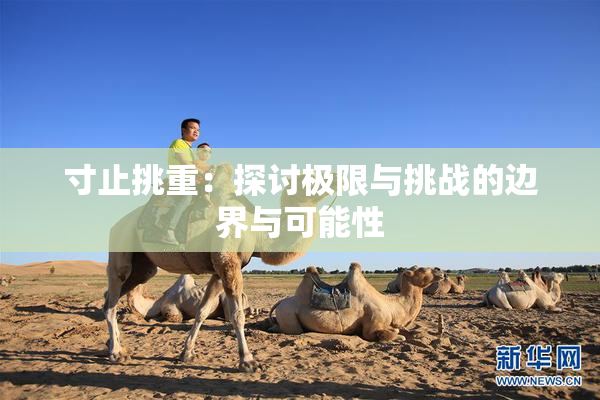 寸止挑重：探讨极限与挑战的边界与可能性
