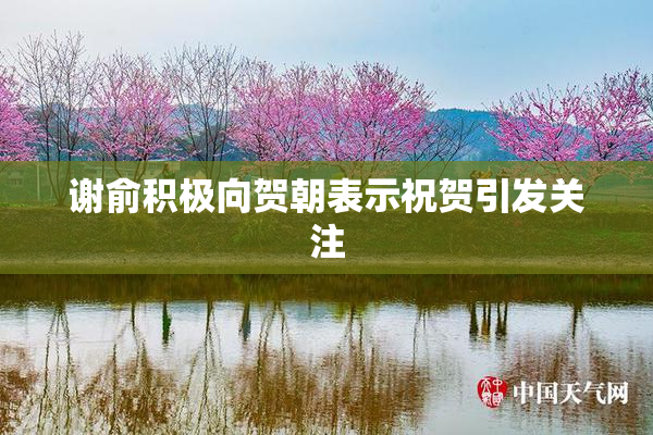 谢俞积极向贺朝表示祝贺引发关注