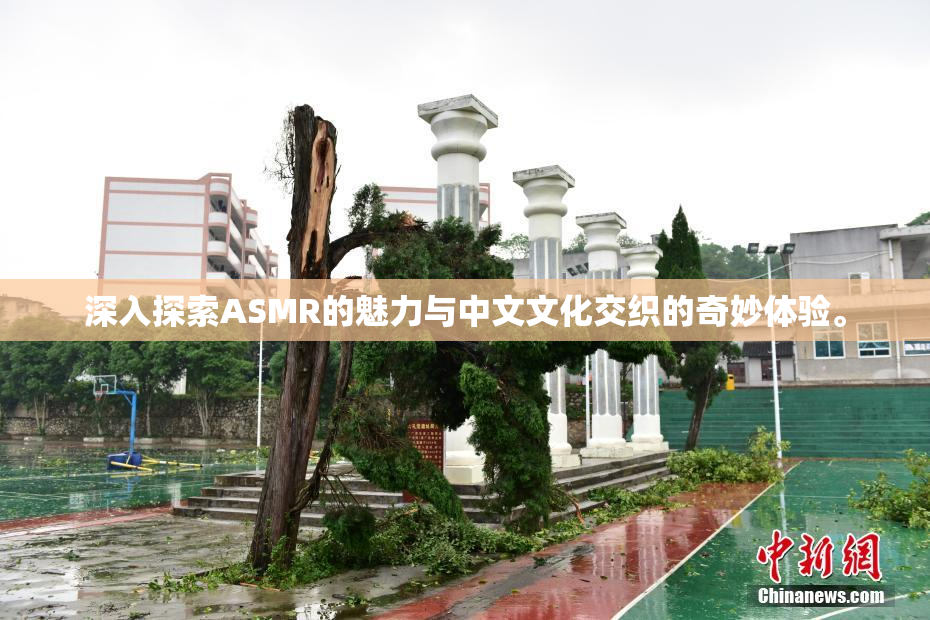 深入探索ASMR的魅力与中文文化交织的奇妙体验。
