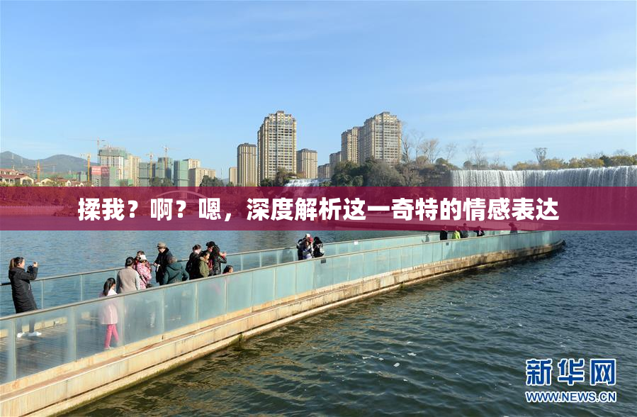 揉我？啊？嗯，深度解析这一奇特的情感表达
