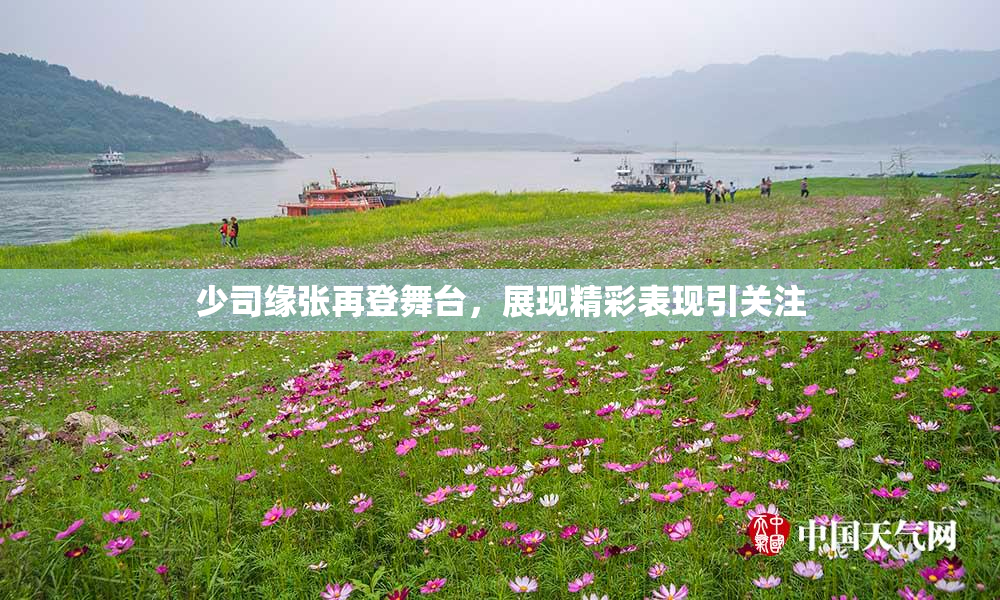 少司缘张再登舞台，展现精彩表现引关注
