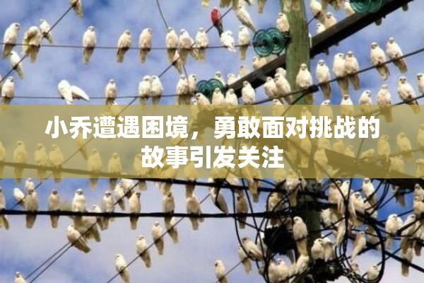 小乔遭遇困境，勇敢面对挑战的故事引发关注