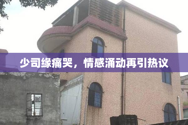 少司缘痛哭，情感涌动再引热议