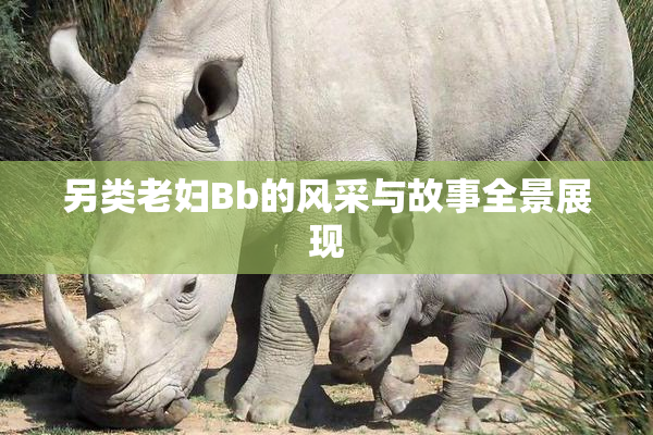 另类老妇Bb的风采与故事全景展现