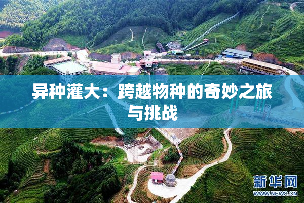 异种灌大：跨越物种的奇妙之旅与挑战