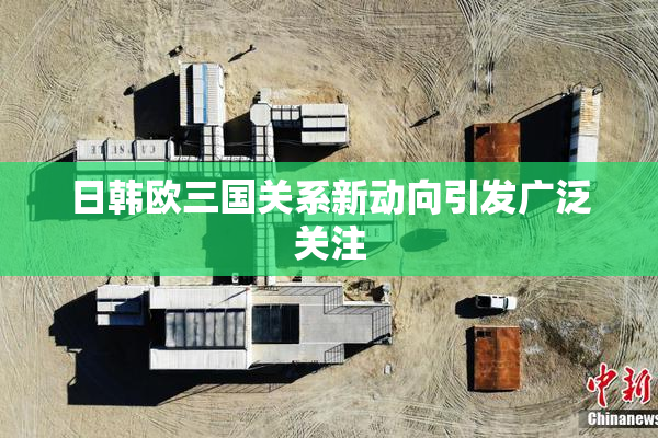 日韩欧三国关系新动向引发广泛关注