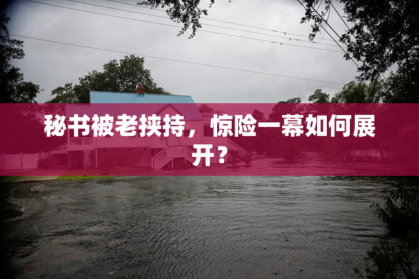 秘书被老挟持，惊险一幕如何展开？
