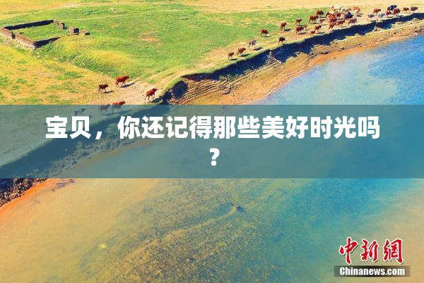 宝贝，你还记得那些美好时光吗？
