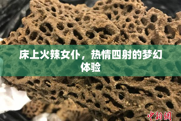床上火辣女仆，热情四射的梦幻体验