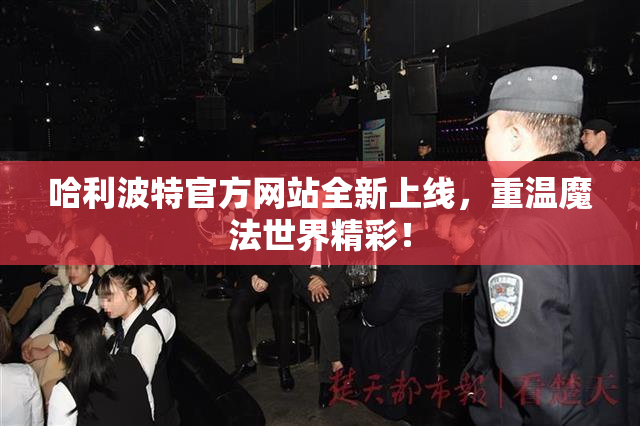 哈利波特官方网站全新上线，重温魔法世界精彩！