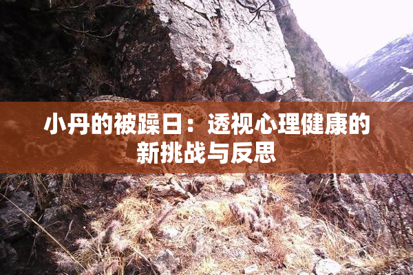 小丹的被躁日：透视心理健康的新挑战与反思