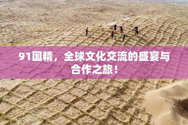 91国精，全球文化交流的盛宴与合作之旅！