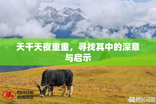 天干天夜重重，寻找其中的深意与启示