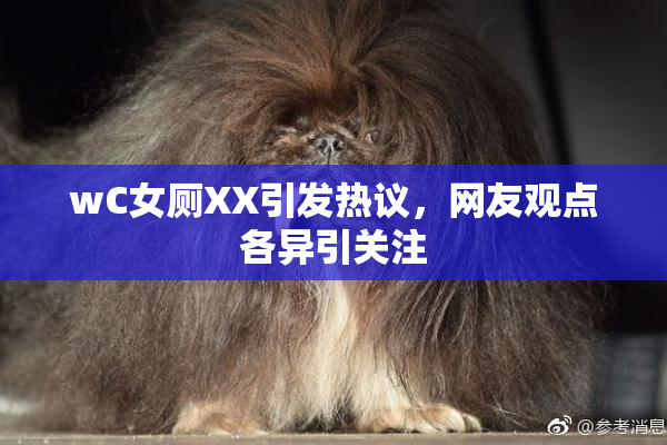 wC女厕XX引发热议，网友观点各异引关注