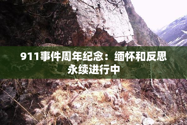 911事件周年纪念：缅怀和反思永续进行中