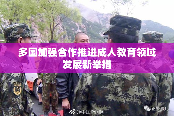 多国加强合作推进成人教育领域发展新举措
