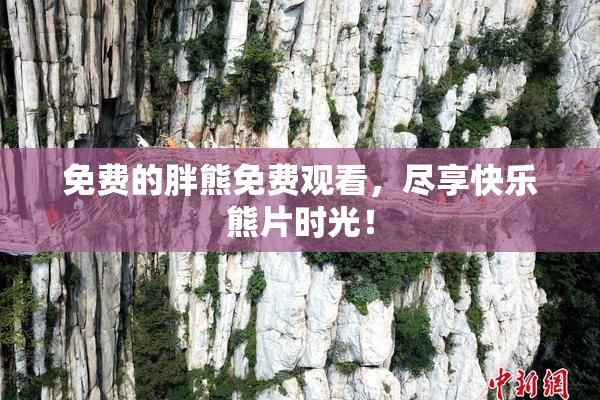免费的胖熊免费观看，尽享快乐熊片时光！