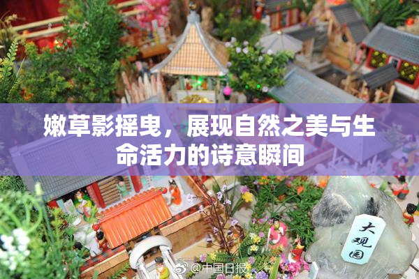 嫩草影摇曳，展现自然之美与生命活力的诗意瞬间