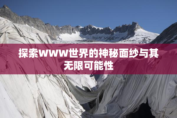 探索WWW世界的神秘面纱与其无限可能性