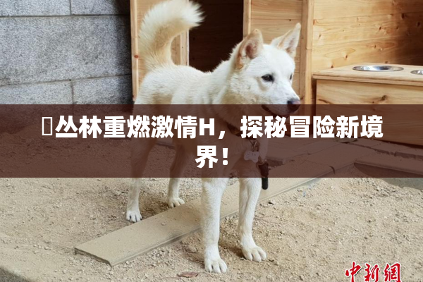 巜丛林重燃激情H，探秘冒险新境界！