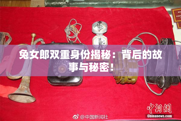 兔女郎双重身份揭秘：背后的故事与秘密！
