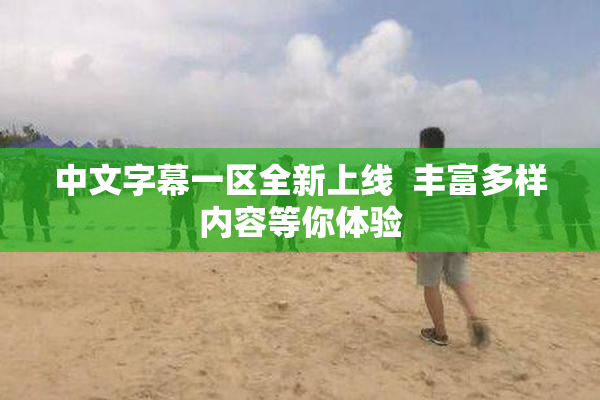 中文字幕一区全新上线  丰富多样内容等你体验