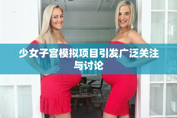 少女子宫模拟项目引发广泛关注与讨论