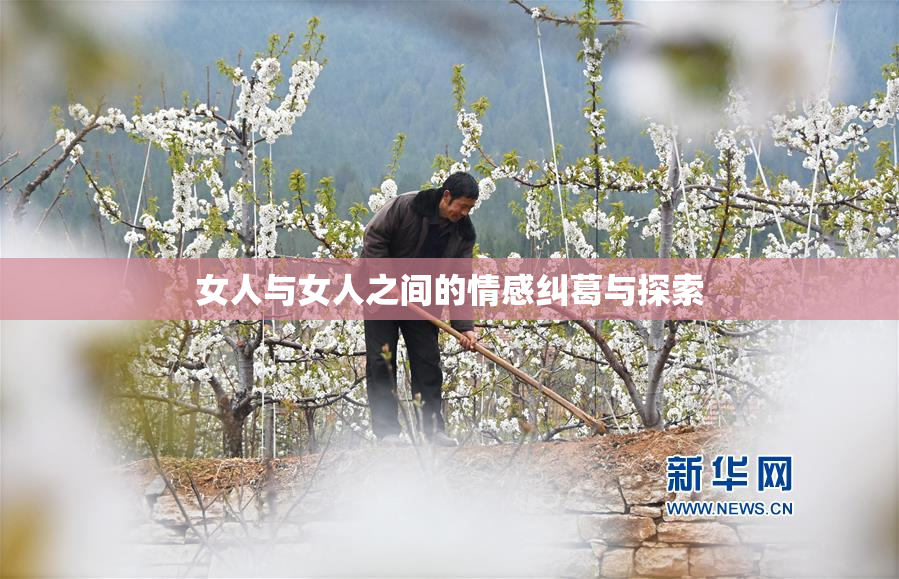 女人与女人之间的情感纠葛与探索