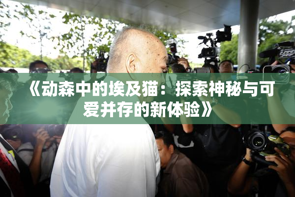 《动森中的埃及猫：探索神秘与可爱并存的新体验》