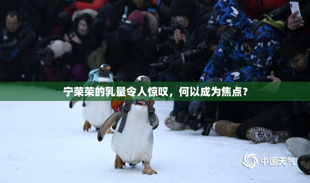 宁荣荣的乳量令人惊叹，何以成为焦点？