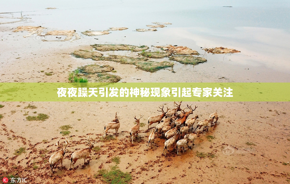 夜夜躁天引发的神秘现象引起专家关注