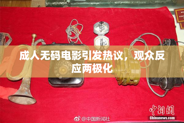 成人无码电影引发热议，观众反应两极化