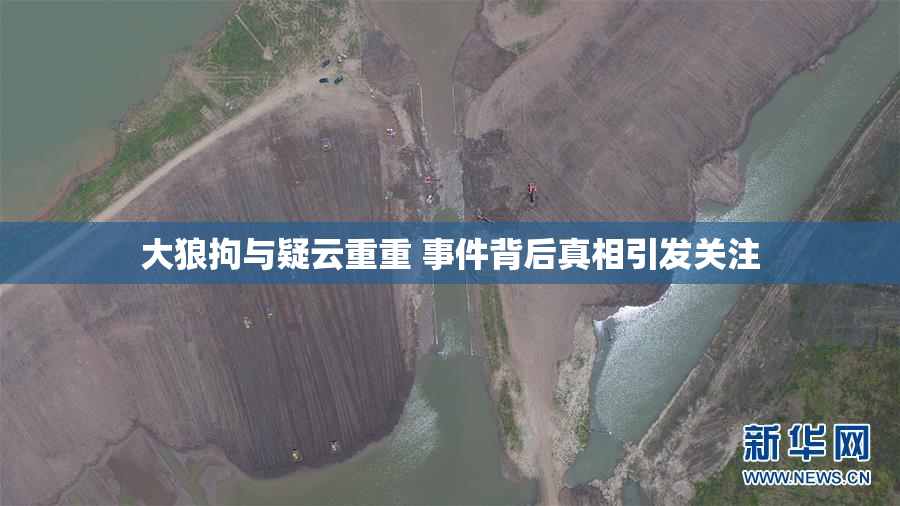 大狼拘与疑云重重 事件背后真相引发关注