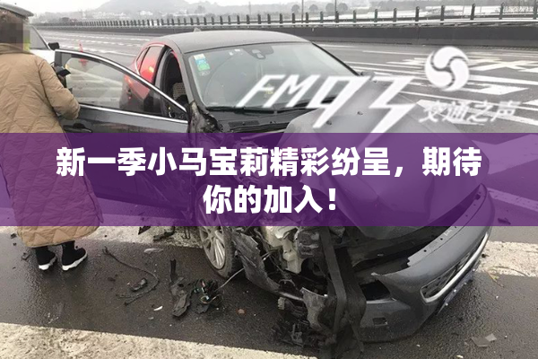 新一季小马宝莉精彩纷呈，期待你的加入！