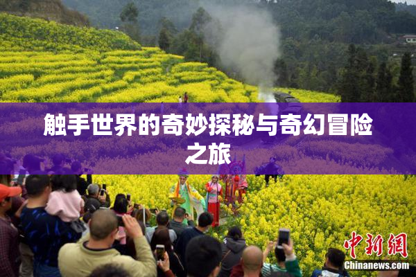 触手世界的奇妙探秘与奇幻冒险之旅