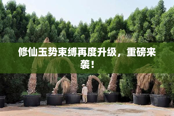 修仙玉势束缚再度升级，重磅来袭！