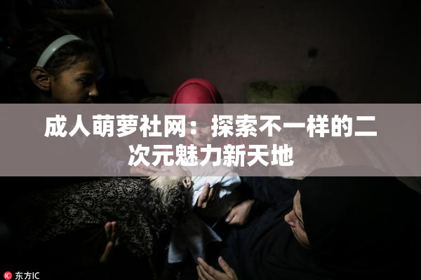 成人萌萝社网：探索不一样的二次元魅力新天地