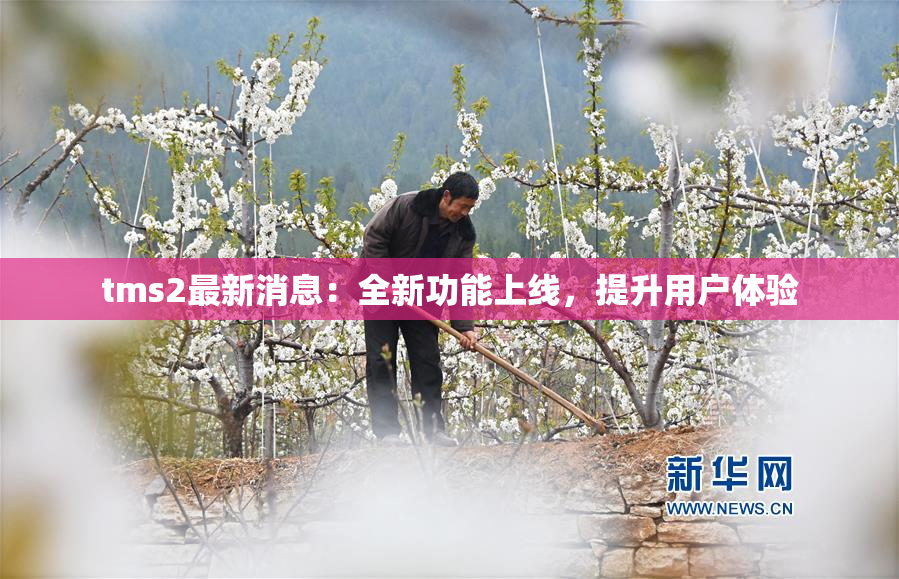 tms2最新消息：全新功能上线，提升用户体验