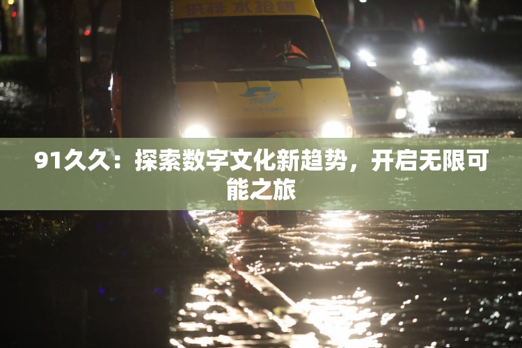 91久久：探索数字文化新趋势，开启无限可能之旅