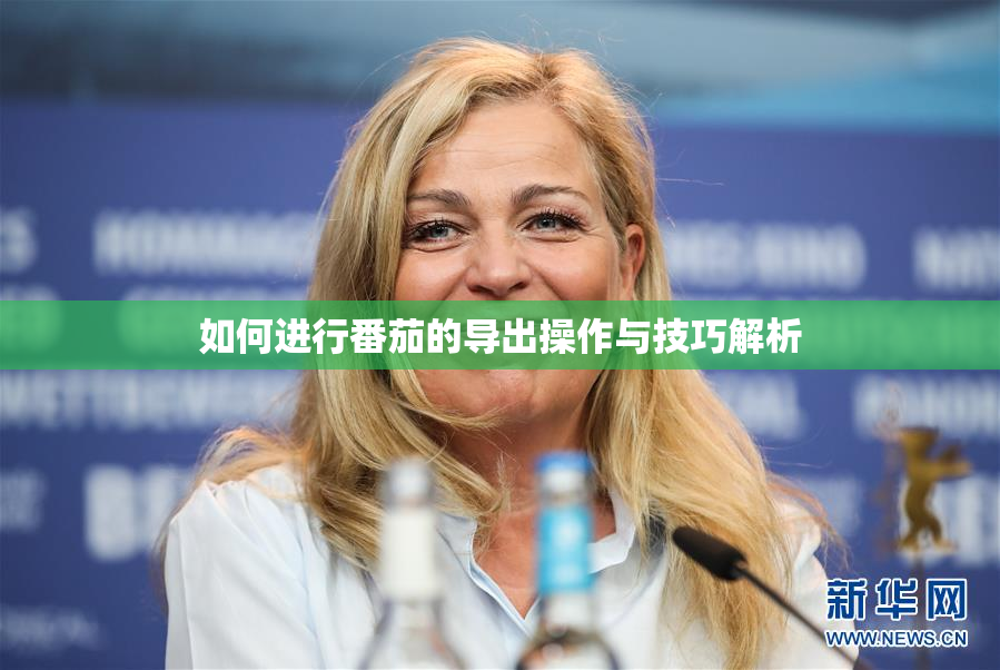 如何进行番茄的导出操作与技巧解析