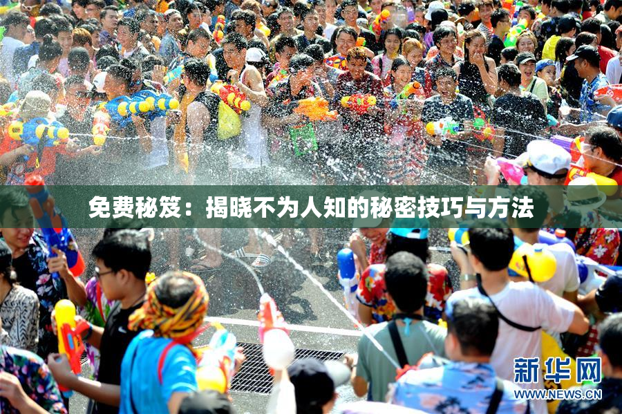 免费秘笈：揭晓不为人知的秘密技巧与方法