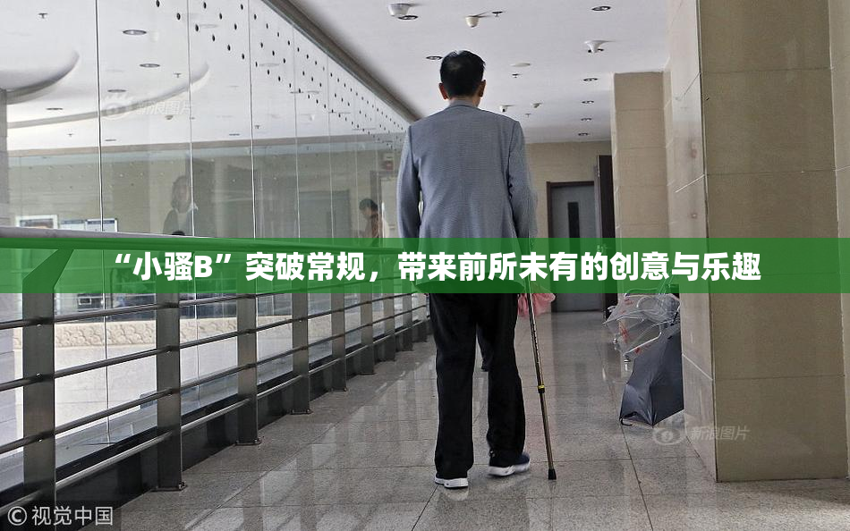 “小骚B”突破常规，带来前所未有的创意与乐趣