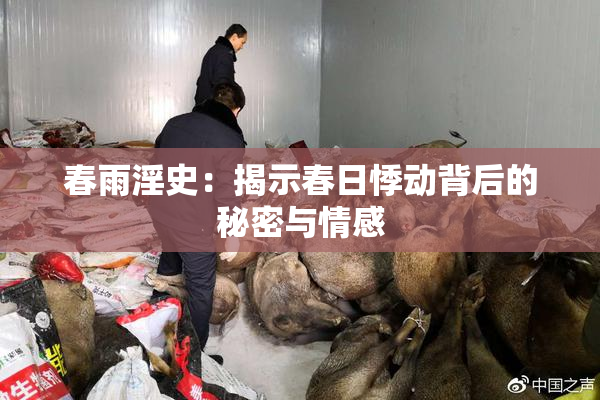 春雨淫史：揭示春日悸动背后的秘密与情感